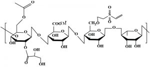 SKU (GG-VS-1g)